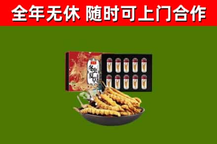 平武县回收冬虫夏草价格